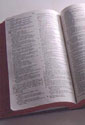The Bible
